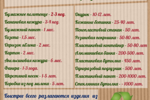 Сколько нужно времени, чтобы полностью разложились...